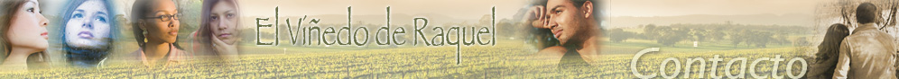 Rachel's Vineyard - Contact Us